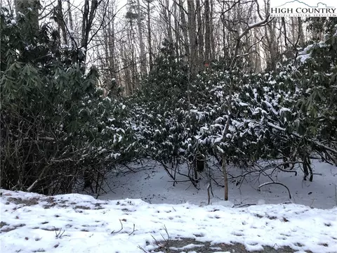 119 Teaberry Trl, Beech Mountain, NC 28604 photo 2