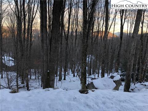 222 Lakeledge Rd, Beech Mountain, NC 28604 photo 2