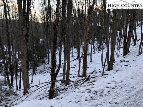 222 Lakeledge Rd, Beech Mountain, NC 28604 photo 4