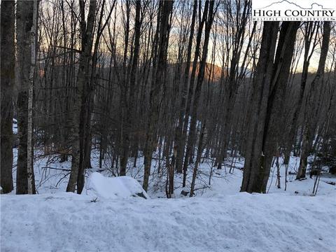 222 Lakeledge Rd, Beech Mountain, NC 28604 photo 1