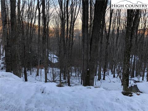 222 Lakeledge Rd, Beech Mountain, NC 28604 photo 3
