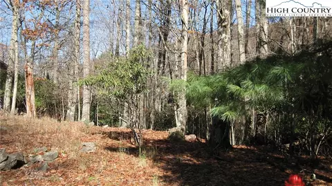 704 Pine Ridge Road Rd, Beech Mountain, NC 28604 photo 4