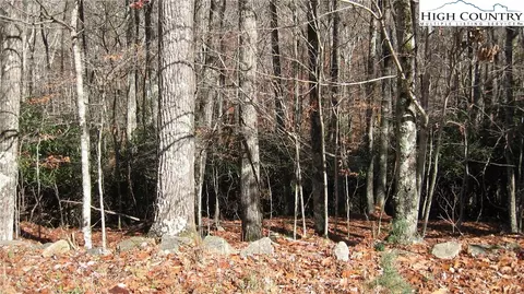 704 Pine Ridge Road Rd, Beech Mountain, NC 28604 photo 3