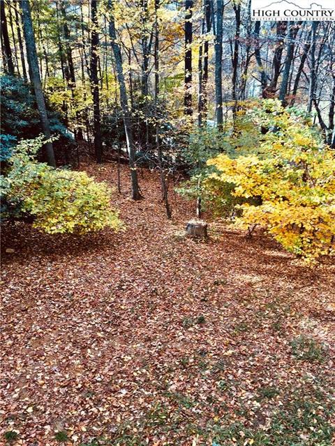 132 Grapevine Cir, Boone, NC 28607 photo 5