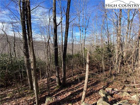 193 Bear Cub Ln, Beech Mountain, NC 28604 photo 1