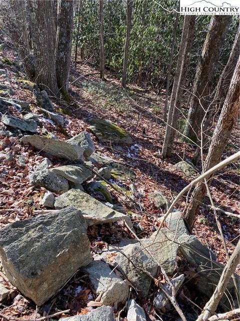 193 Bear Cub Ln, Beech Mountain, NC 28604 photo 7