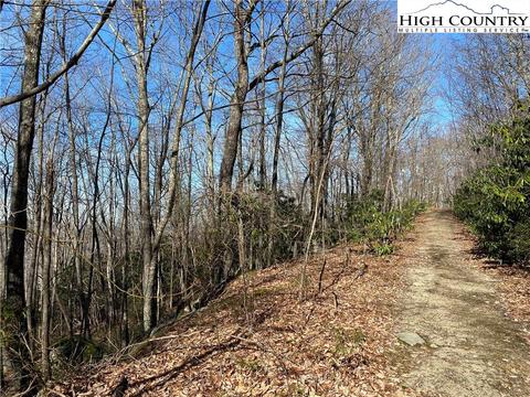 193 Bear Cub Ln, Beech Mountain, NC 28604 photo 11