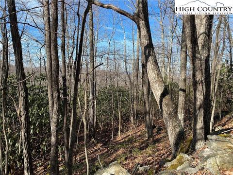 193 Bear Cub Ln, Beech Mountain, NC 28604 photo 9
