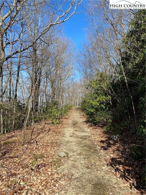 193 Bear Cub Ln, Beech Mountain, NC 28604 photo 10