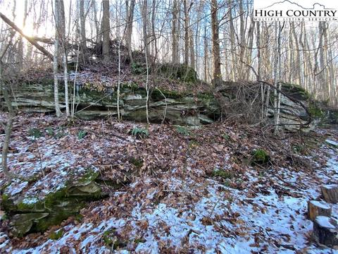 193 Bear Cub Ln, Beech Mountain, NC 28604 photo 5