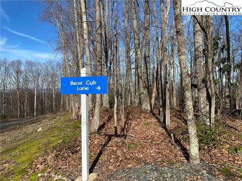 193 Bear Cub Ln, Beech Mountain, NC 28604 photo 2
