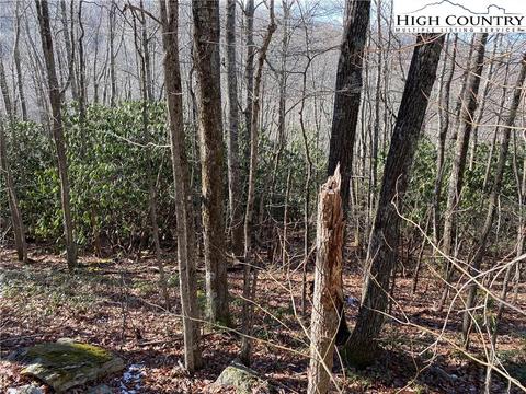 193 Bear Cub Ln, Beech Mountain, NC 28604 photo 8