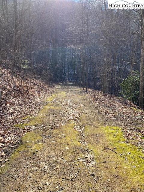 193 Bear Cub Ln, Beech Mountain, NC 28604 photo 4