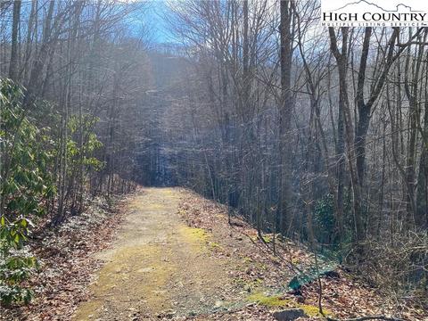 193 Bear Cub Ln, Beech Mountain, NC 28604 photo 3