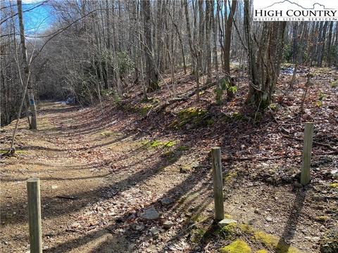 193 Bear Cub Ln, Beech Mountain, NC 28604 photo 6