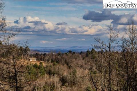 4692 Staghorn Rd, Purlear, NC 28665 photo 18