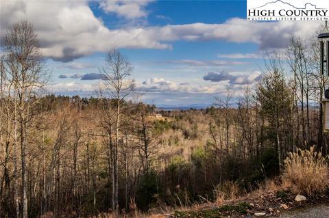 4692 Staghorn Rd, Purlear, NC 28665 photo 29