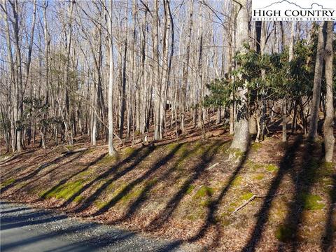120 Teaberry Trl, Beech Mountain, NC 28604 photo 2