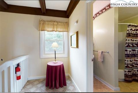 301 Mariah Cir #E-19, Beech Mountain, NC 28604 photo 24