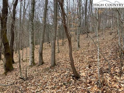 TBD Walnut Lane, Vilas, NC 26692
