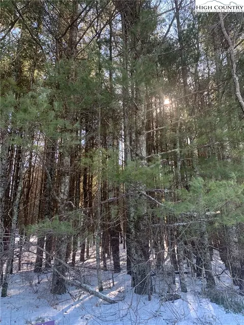 tbd Dockery Ln, Sparta, NC 28675 photo 3