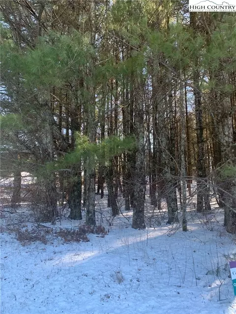 tbd Dockery Ln, Sparta, NC 28675 photo 2