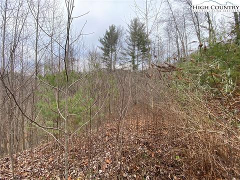 TBD Rabbit Ridge Run, Vilas, NC 28692 photo 7