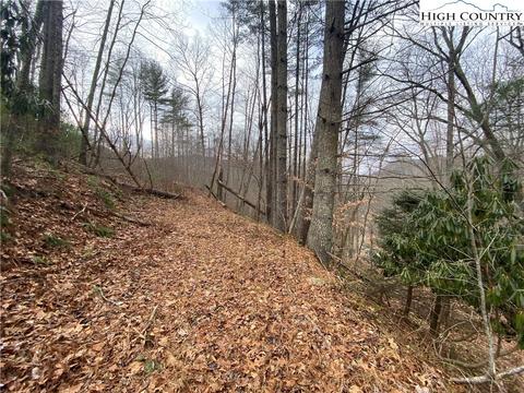 TBD Rabbit Ridge Run, Vilas, NC 28692 photo 2