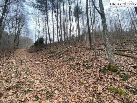 TBD Rabbit Ridge Run, Vilas, NC 28692