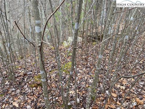 TBD Rabbit Ridge Run, Vilas, NC 28692 photo 4