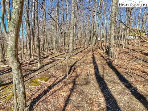 524 Pine Ridge Rd, Beech Mountain, NC 28604 photo 4