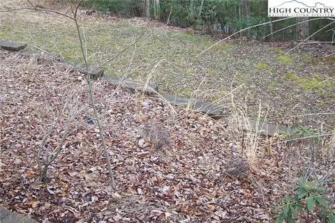 3545 Wildcat Rd, Deep Gap, NC 28618 photo 7