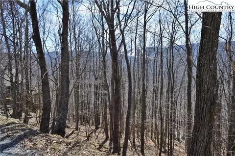 137 Lower Grouse Ridge Rd, Beech Mountain, NC 28604 photo 5