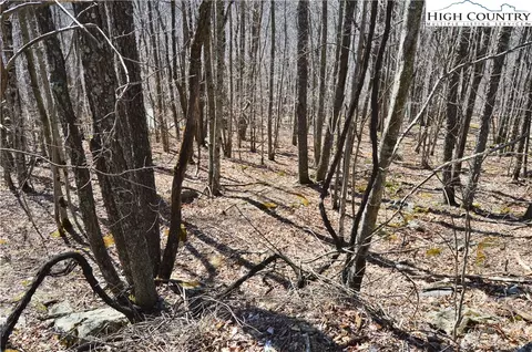 137 Lower Grouse Ridge Rd, Beech Mountain, NC 28604 photo 9