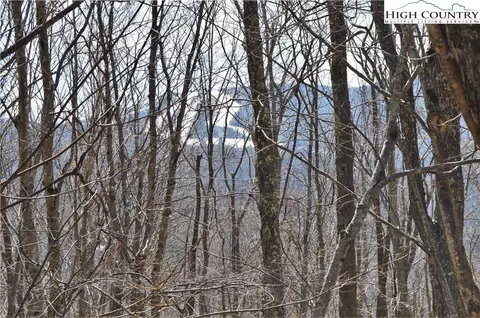 137 Lower Grouse Ridge Rd, Beech Mountain, NC 28604 photo 2