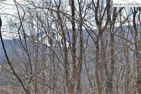 137 Lower Grouse Ridge Rd, Beech Mountain, NC 28604 photo 11