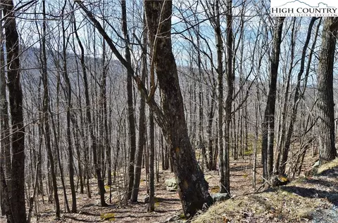 137 Lower Grouse Ridge Rd, Beech Mountain, NC 28604 photo 3