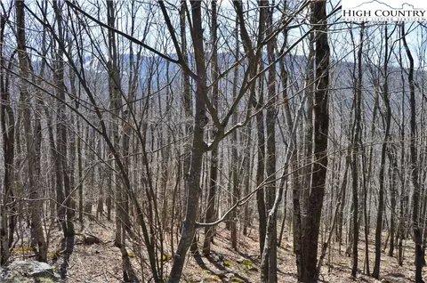 137 Lower Grouse Ridge Rd, Beech Mountain, NC 28604 photo 1