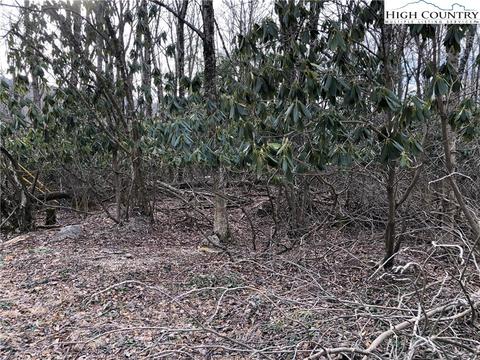 202 Greenbriar Rd, Beech Mountain, NC 28604 photo 1