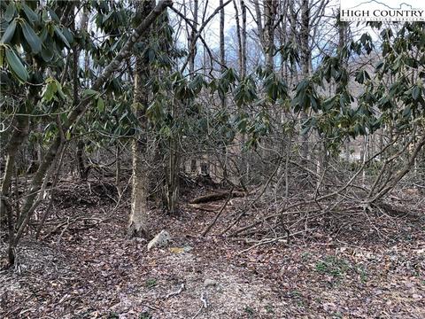 202 Greenbriar Rd, Beech Mountain, NC 28604 photo 2