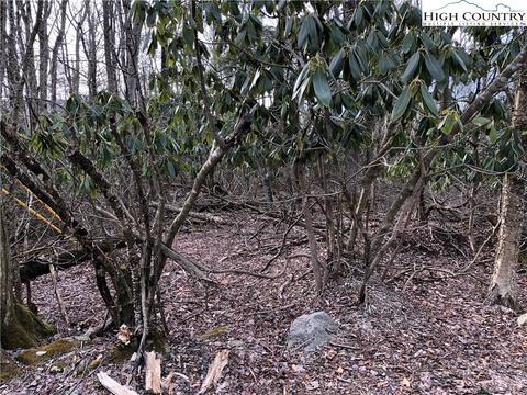 202 Greenbriar Rd, Beech Mountain, NC 28604 photo 4