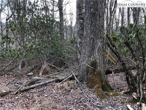 202 Greenbriar Rd, Beech Mountain, NC 28604 photo 3