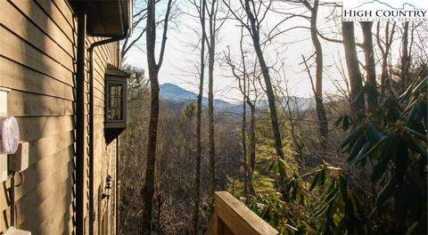 185 Stickle Path, Boone, NC 28607 photo 36