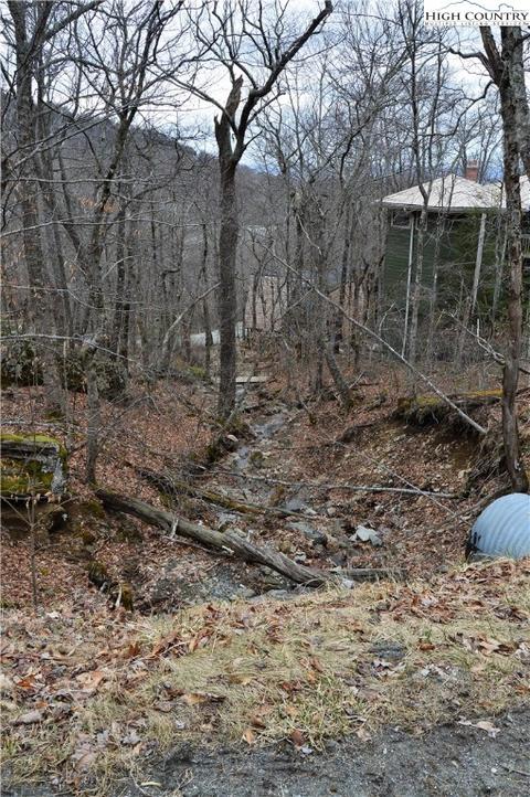 121 Wedling Weg, Beech Mountain, NC 28604 photo 8