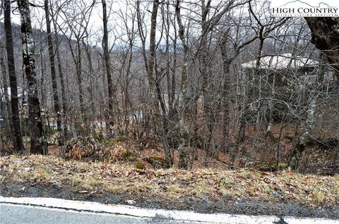121 Wedling Weg, Beech Mountain, NC 28604 photo 6