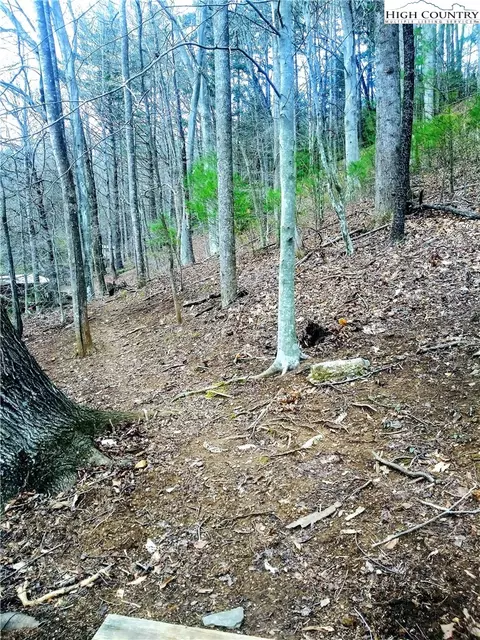 722 Rhymer Branch Rd, Deep Gap, NC 28618 photo 7