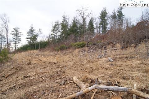 tbd Dewitt Rd, Sparta, NC 28627 photo 8