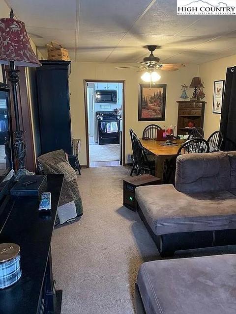 193 Old E King St, Boone, NC 28607 photo 8