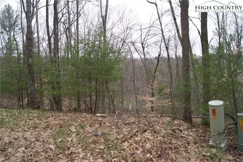 lot75 Forest Hill Dr, Sparta, NC 28675
