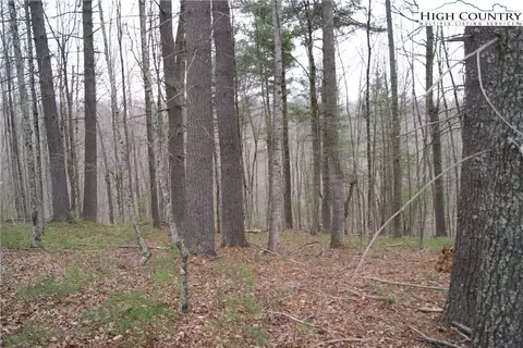 lot74 Forest Hill Dr, Sparta, NC 28675